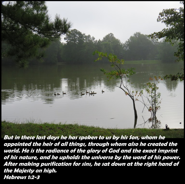 © Photo Artist Susan Ruth Robertson 090025006100 SX540HS 077.JPG