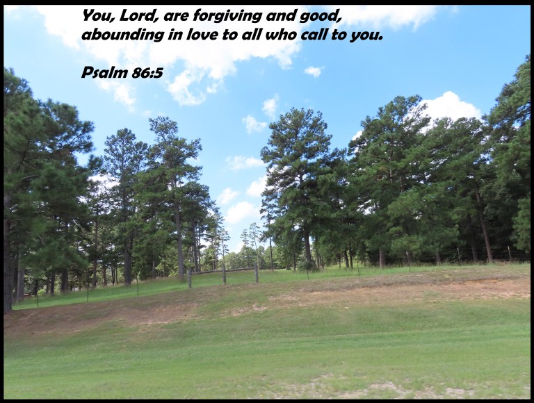 © Photo Artist Susan Ruth Robertson 090025006100 SX70HS 083 - Copy.JPG