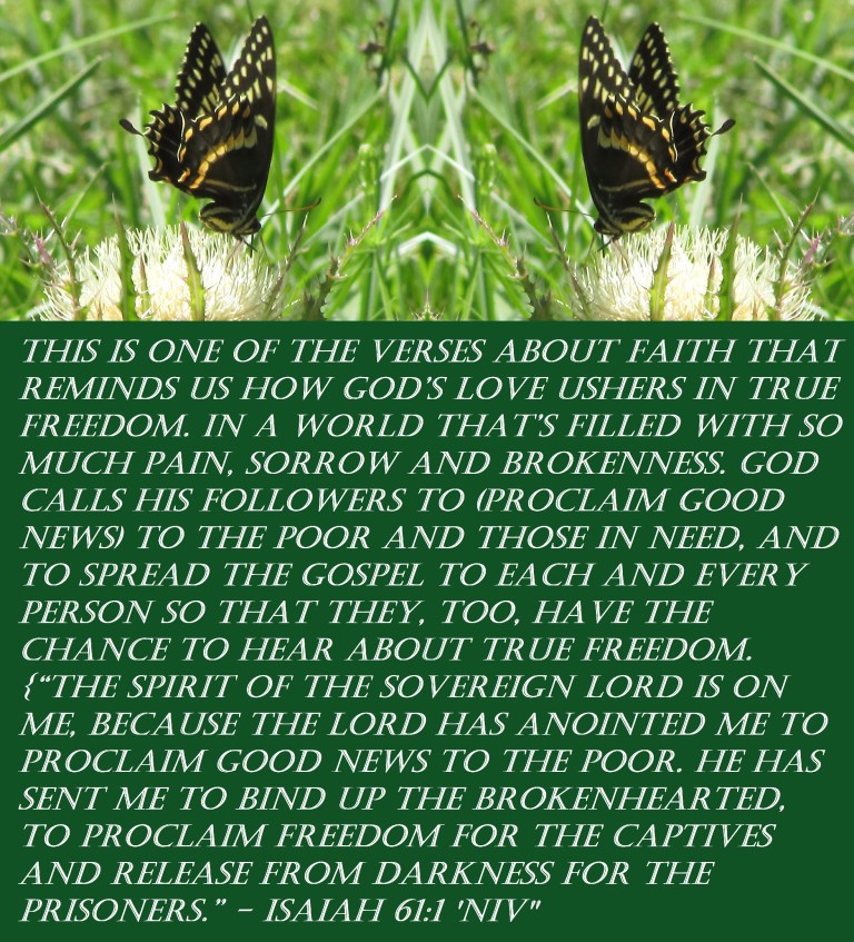 © Photo Artist Susan Ruth Robertson 090025006100 009 - Copy.JPG