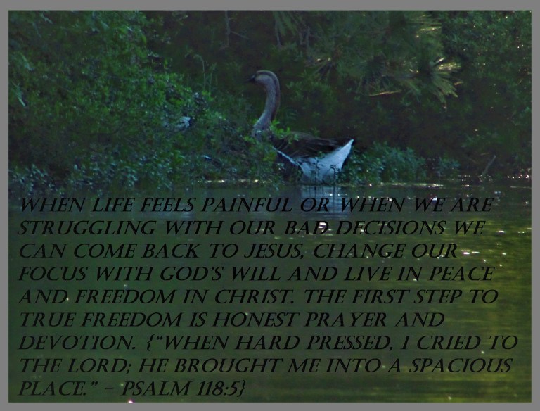 © Photo Artist Susan Ruth Robertson 090025006100 034 - Copy (3).JPG