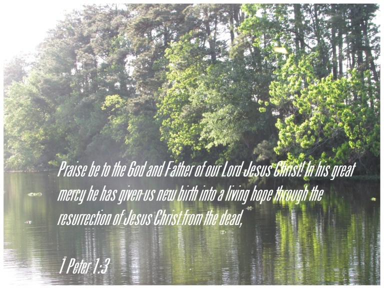 © Photo Artist Susan Ruth Robertson 090025006100 045 - Copy.JPG