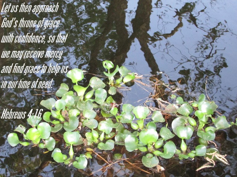 © Photo Artist Susan Ruth Robertson 090025006100 047.JPG