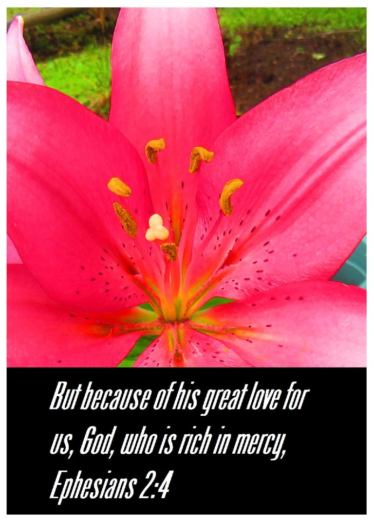 © Photo Artist Susan Ruth Robertson 090025006100 SX540HS 042 - Copy.JPG