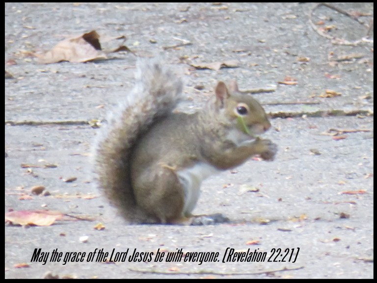 © Photo Artist Susan Ruth Robertson 090025006100 SX70HS 016 - Copy.JPG