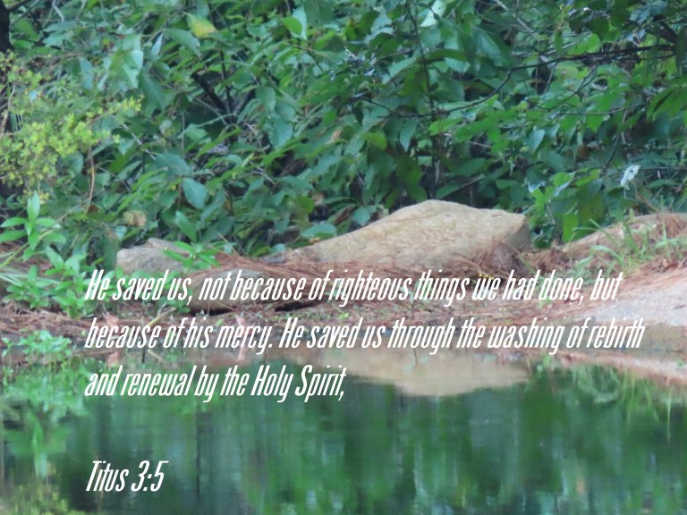 © Photo Artist Susan Ruth Robertson 090025006100 SX70HS 042.JPG