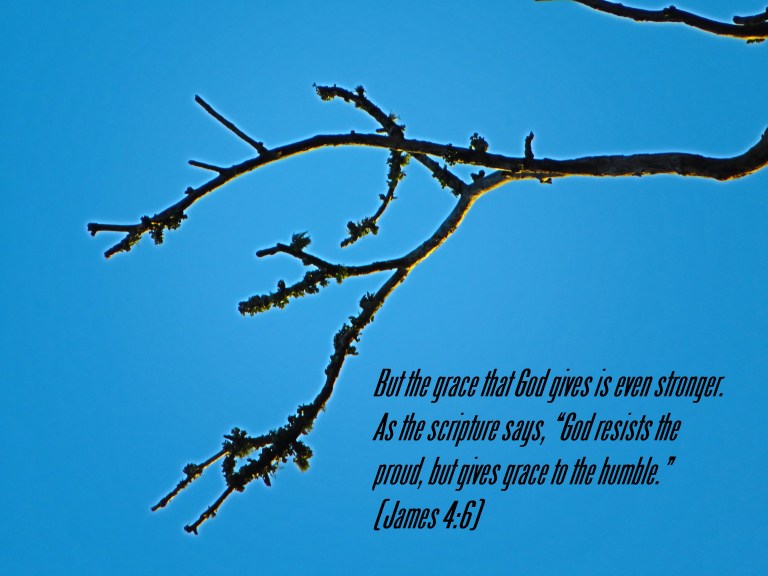 © Photo Artist Susan Ruth Robertson 090025006100 SX70HS 043 - Copy.JPG