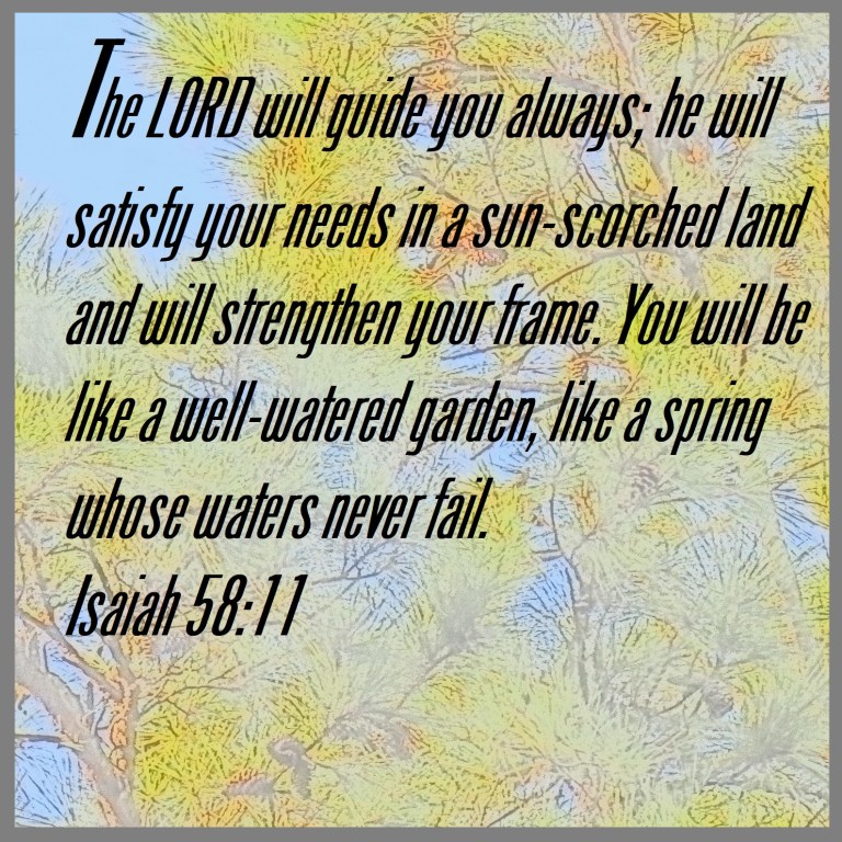 © Photo Artist Susan Ruth Robertson 090025006100 SX70HS 048 - Copy.JPG