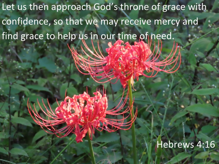 © Photo Artist Susan Ruth Robertson 090025006100 SX70HS 065 - Copy.JPG