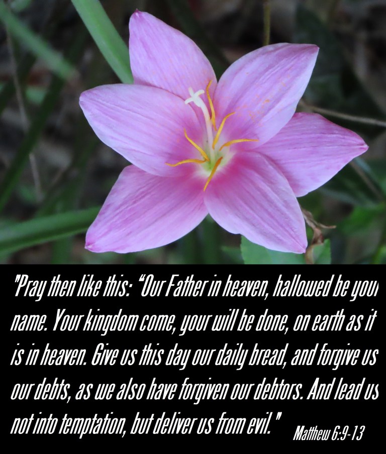 © Photo Artist Susan Ruth Robertson 090025006100 SX70HS 068 - Copy.JPG