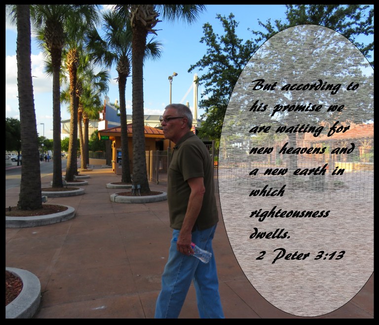 © Photo Artist Susan Ruth Robertson 090025006100 SX 400 IS (19) - Copy.JPG