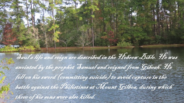 © Photo Artist Susan Ruth Robertson 090025006100 SX70HS 049 - Copy.JPG