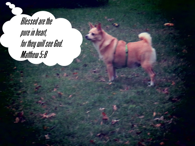 © Photo Artist Susan Ruth Robertson 090025006100 SX70HS 055 - Copy - Copy.JPG