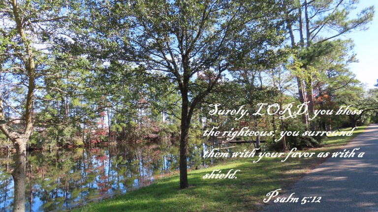 © Photo Artist Susan Ruth Robertson 090025006100 SX70HS 057 - Copy.JPG