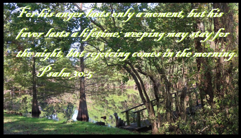 © Photo Artist Susan Ruth Robertson 090025006100 SX70HS 064 - Copy.JPG