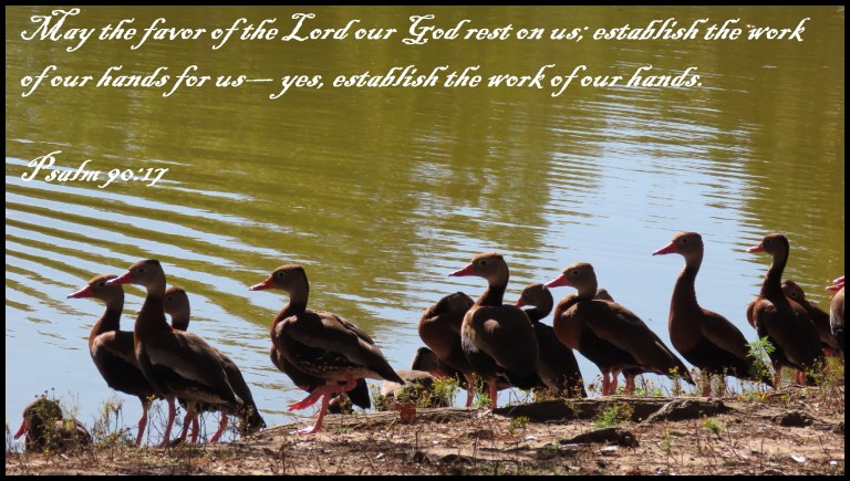 © Photo Artist Susan Ruth Robertson 090025006100 SX70HS 065 - Copy.JPG