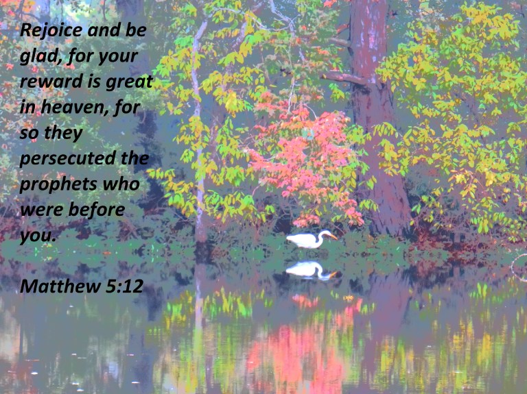 © Photo Artist Susan Ruth Robertson 090025006100Canon PowerShot SX70 HS (203) - Copy.JPG