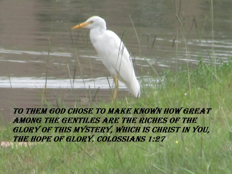 © Photo Artist Susan ruth Robertson 09002500100 047 - Copy.JPG