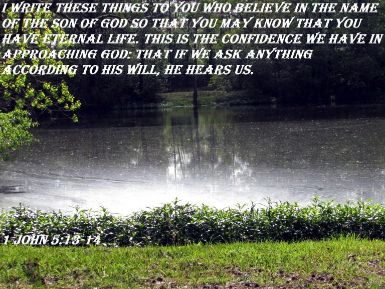 © Photo Artist Susan Ruth Robertson 090025006100 005 - Copy (2).JPG