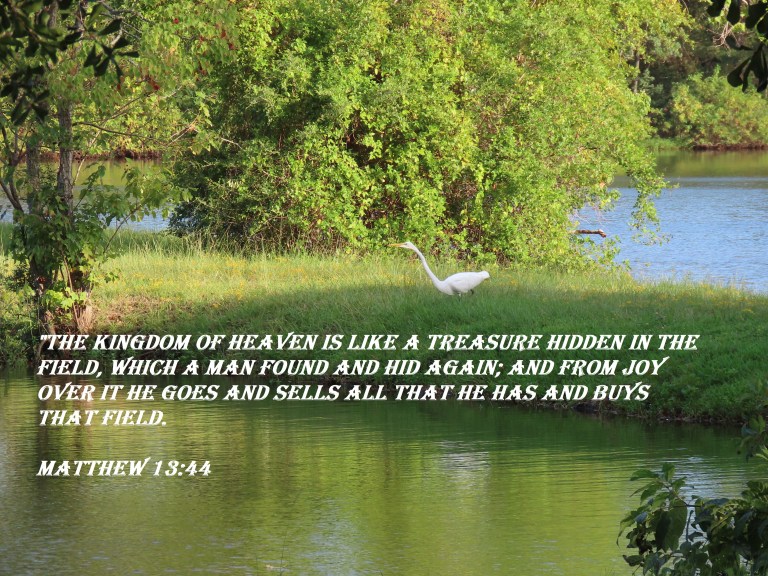 © Photo Artist Susan Ruth Robertson 090025006100 SX70HS 035.JPG