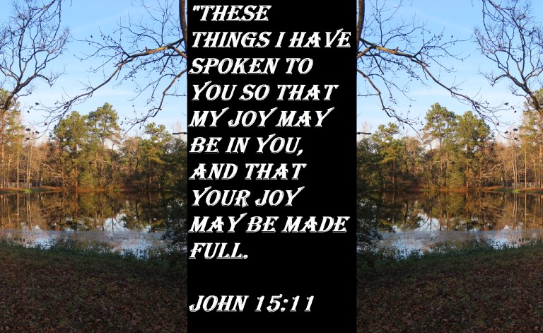 © Photo Artist Susan Ruth Robertson 090025006100 SX70HS 048 - Copy.JPG