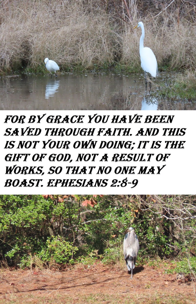 © Photo Artist Susan Ruth Robertson 090025006100 SX70HS 052 - Copy.JPG