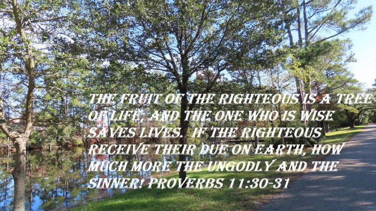 © Photo Artist Susan Ruth Robertson 090025006100 SX70HS 057 - Copy (2).JPG