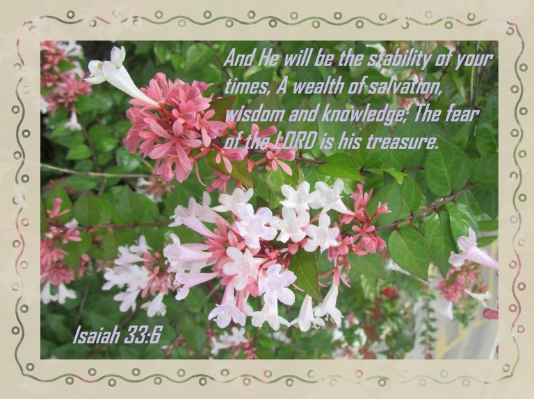 © Photo Artist Susan Ruth Robertson 090025006100 003 (15) - Copy