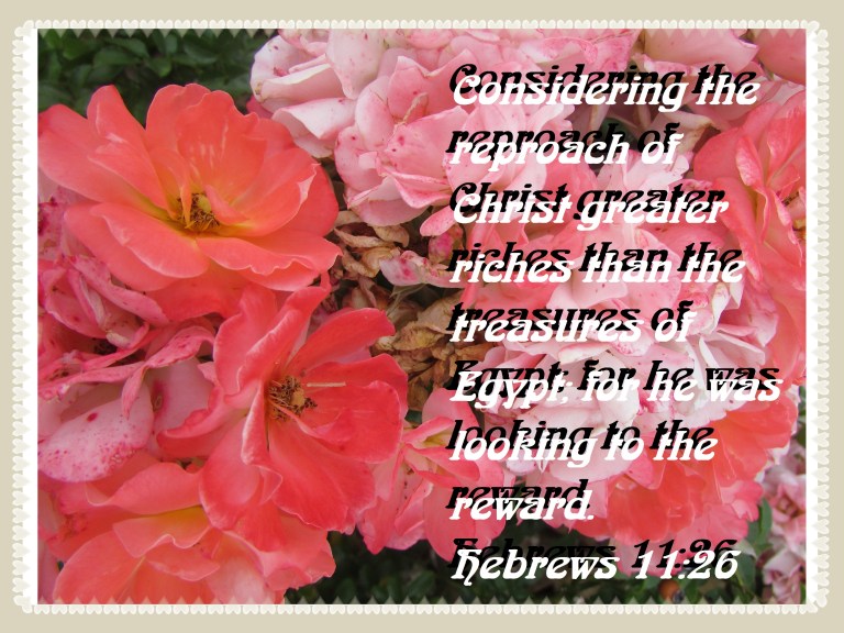 © Photo Artist Susan Ruth Robertson 090025006100 003 (8) - Copy