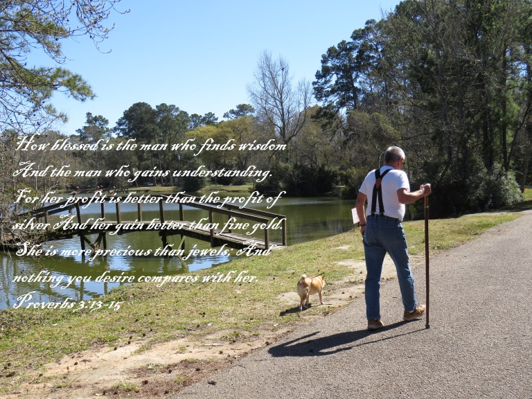 © Photo Artist Susan Ruth Robertson 090025006100 SX540HS 050 - Copy.JPG