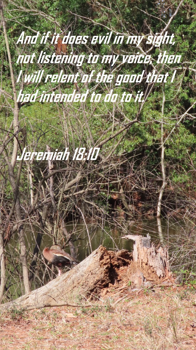 © Photo Artist Susan Ruth Robertson 090025006100 SX70HS 012 - Copy