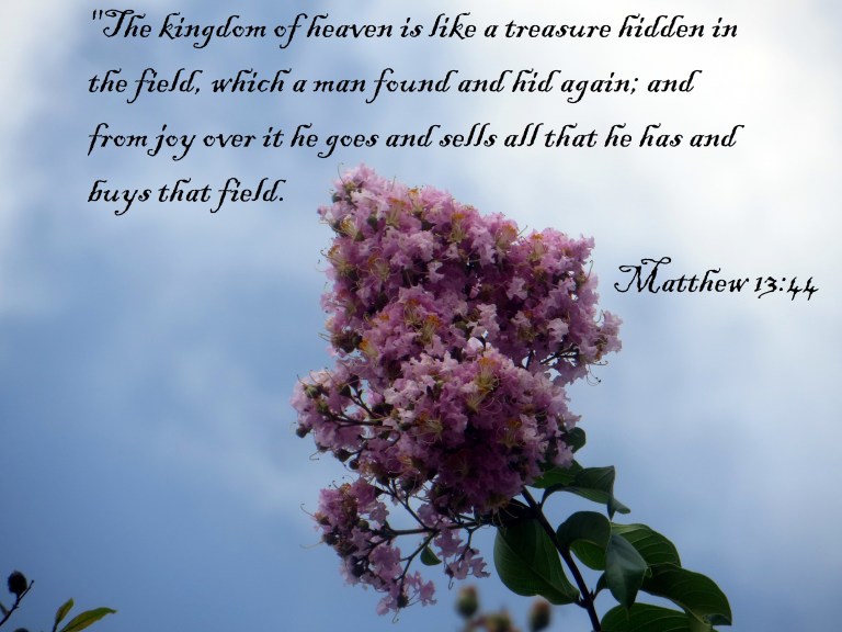 © Photo Artist Susan Ruth Robertson SX260 HS 017 - Copy.JPG