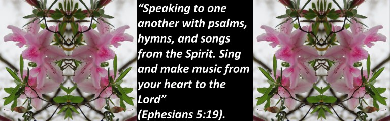 © Photo Artist Susan Ruth Robertson 090025006100 039 - Copy