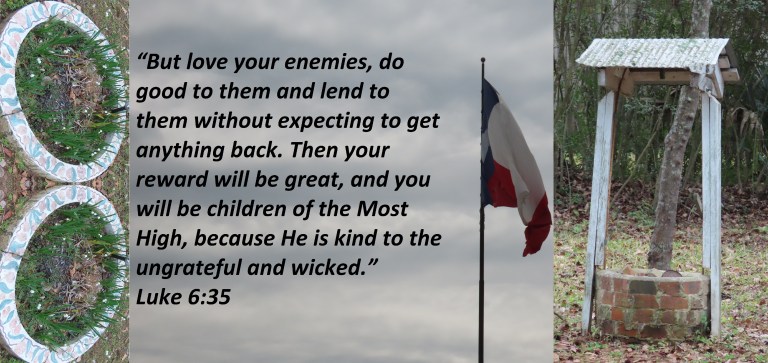 © Photo Artist Susan Ruth Robertson 090025006100 061 - Copy