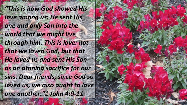 © Photo Artist Susan Ruth Robertson 090025006100 085 - Copy