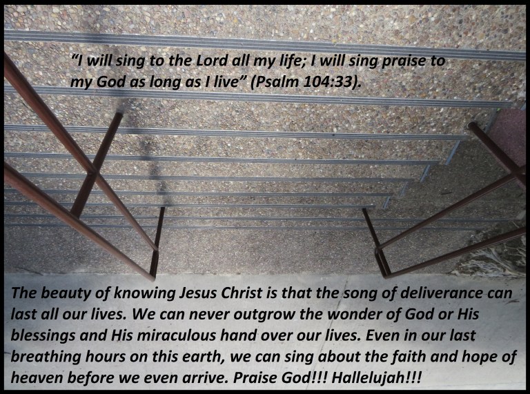 © Photo Artist Susan Ruth Robertson 090025006100 339 - Copy