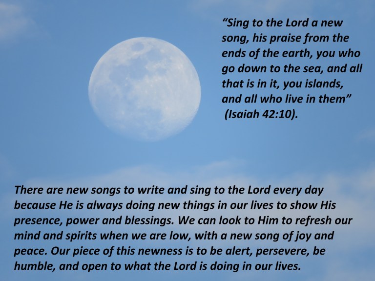 © Photo Artist Susan Ruth Robertson 090025006100 383 - Copy