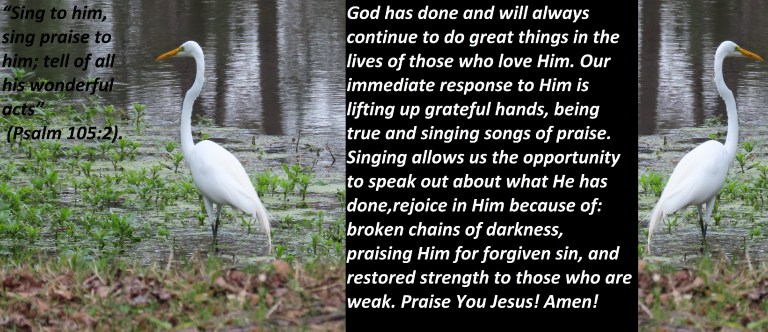 © Photo Artist Susan Ruth Robertson 090025006100 PowerShot SX70 HS 012 - Copy