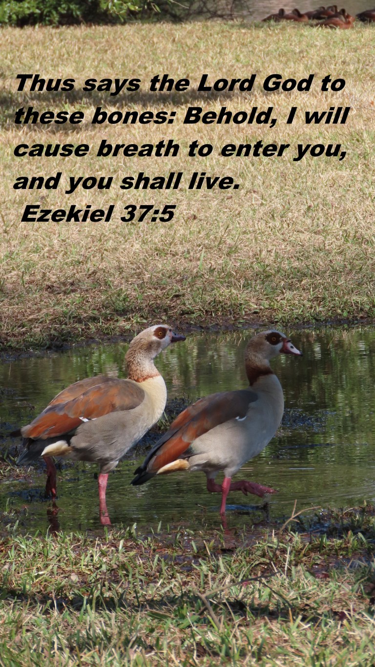 © Photo Artist Susan Ruth Robertson 090025006100 SX70HS 009 - Copy