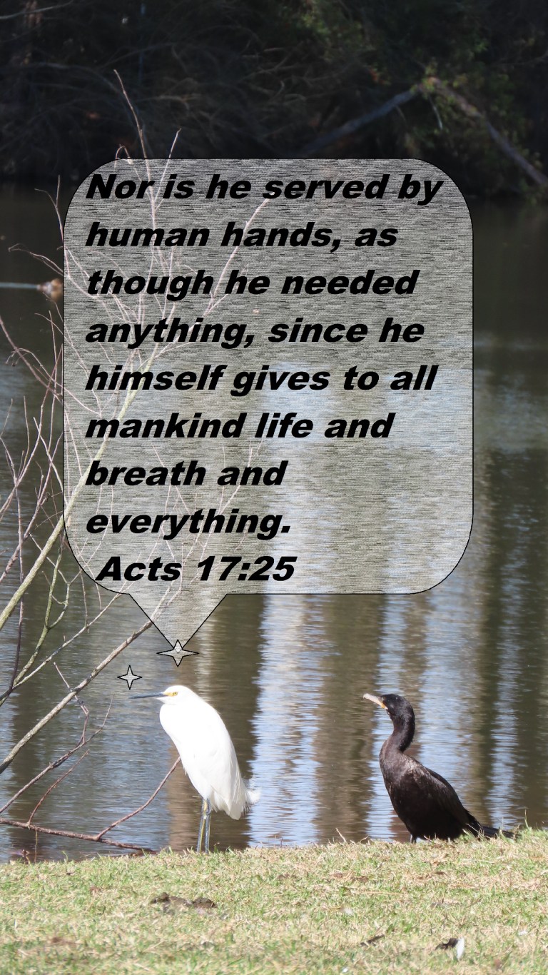 © Photo Artist Susan Ruth Robertson 090025006100 SX70HS 010 - Copy (2)