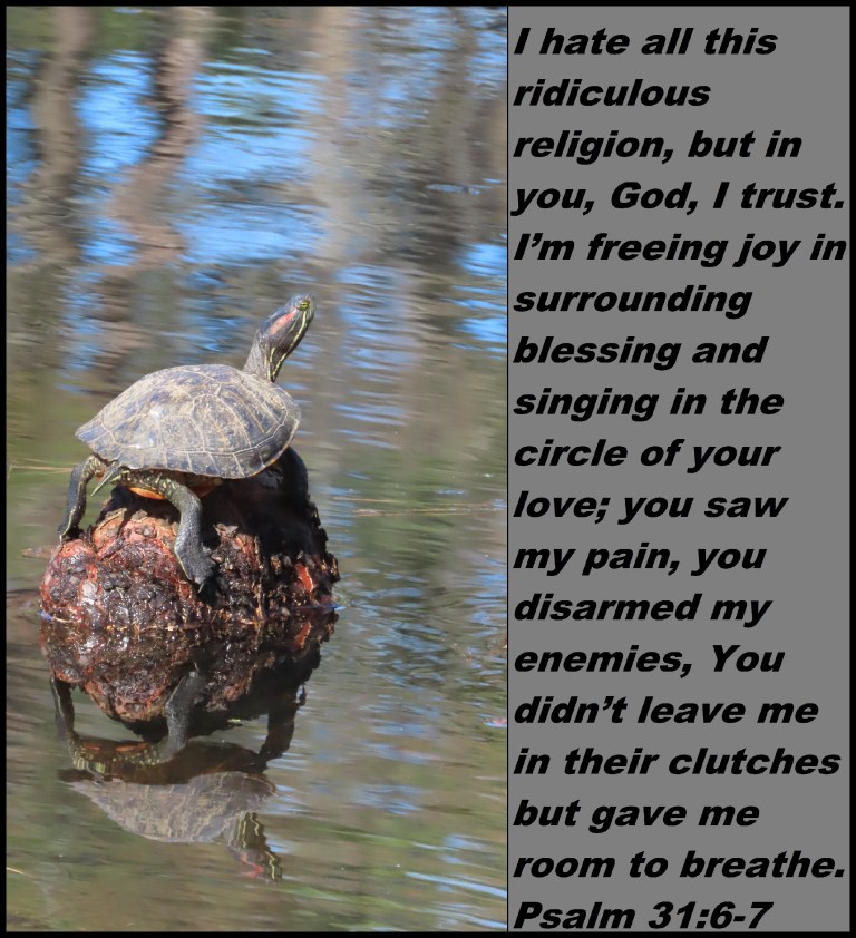 © Photo Artist Susan Ruth Robertson 090025006100 SX70HS 025 - Copy (2)