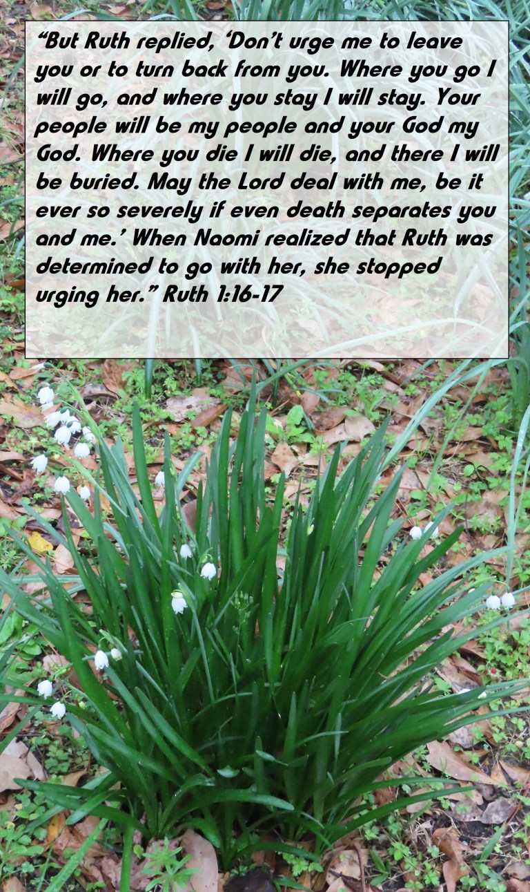 © Photo Artist Susan Ruth Robertson 090025006100 SX70HS 027 - Copy