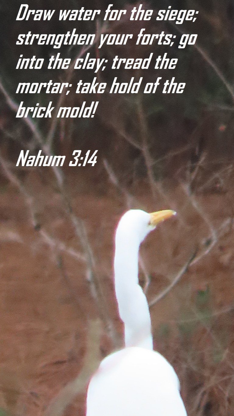 © Photo Artist Susan Ruth Robertson 090025006100 SX70HS 042 - Copy