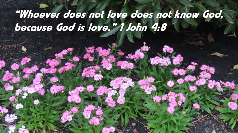 © Photo Artist Susan Ruth Robertson 090025006100 SX70HS 084 - Copy