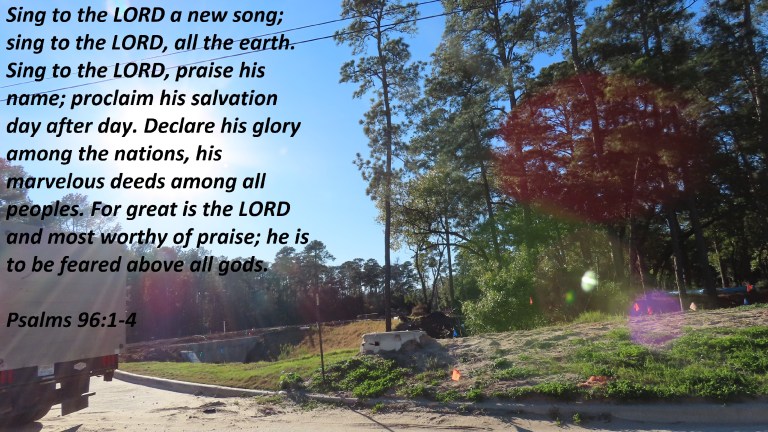 © Photo Artist Susan Ruth Robertson 090025006100 003 - Copy (2)