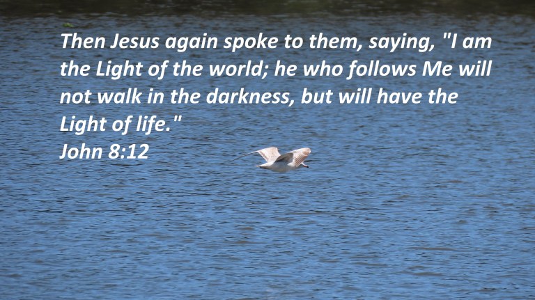 © Photo Artist Susan Ruth Robertson 090025006100 PowerShot SX70 HS 031 - Copy