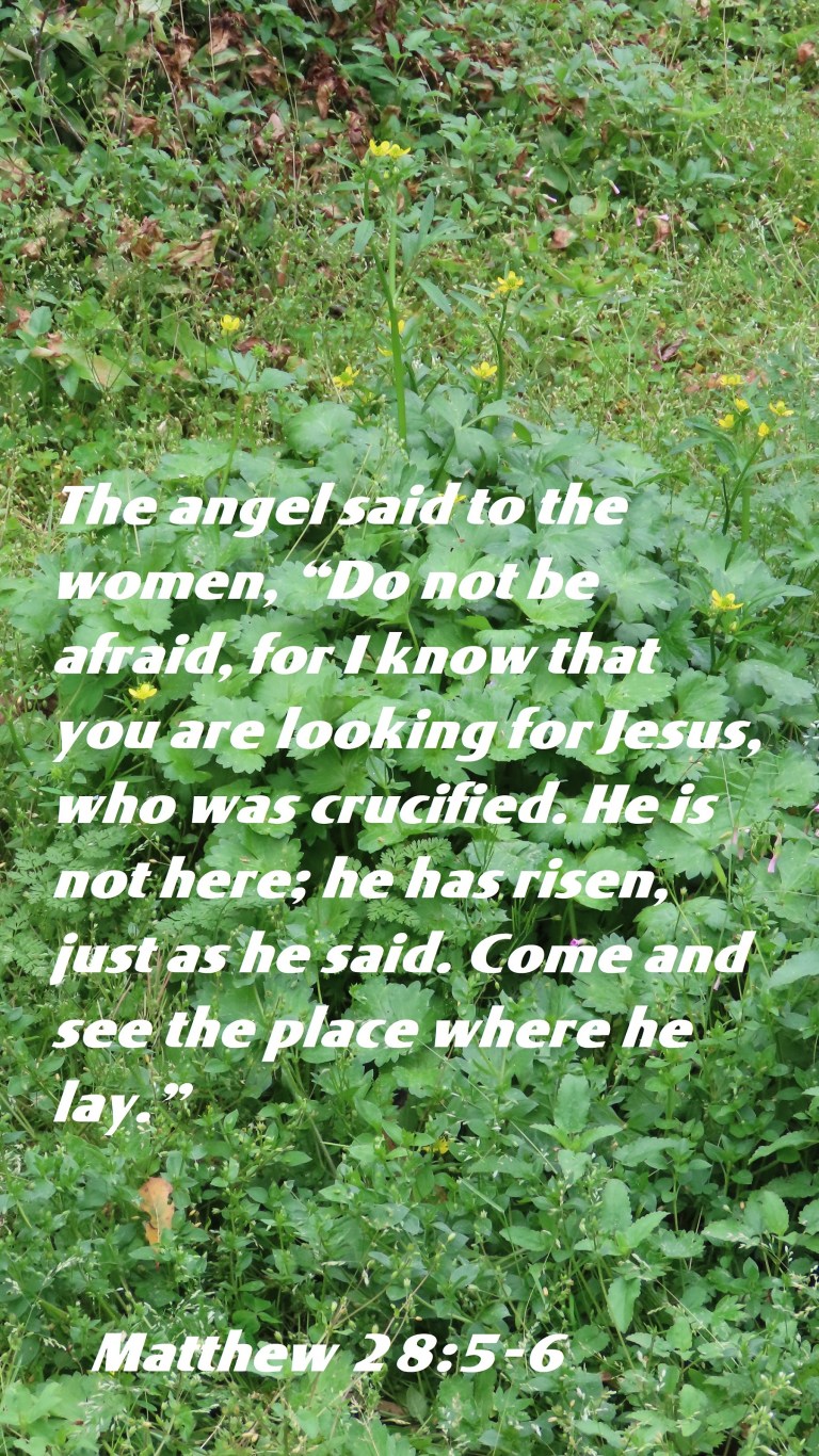 © Photo Artist Susan Ruth Robertson 090025006100 SX70HS 018 - Copy