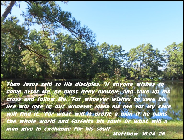 © Photo Artist Susan Ruth Robertson 090025006100 SX70HS 018 - Copy