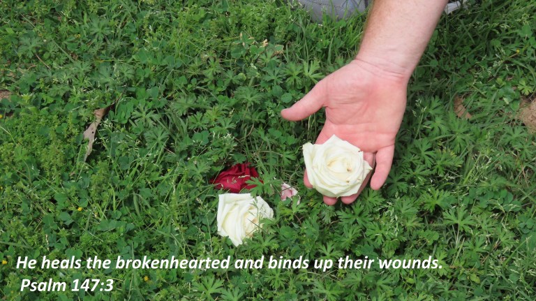 © Photo Artist Susan Ruth Robertson 090025006100 SX70HS 029 - Copy