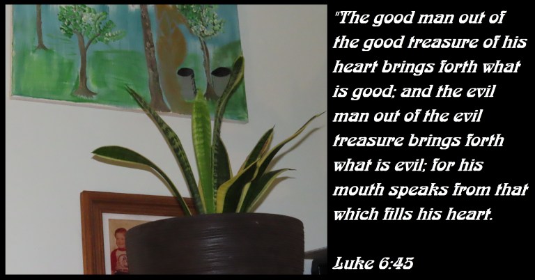 © Photo Artist Susan Ruth Robertson 090025006100 SX70HS 093 - Copy