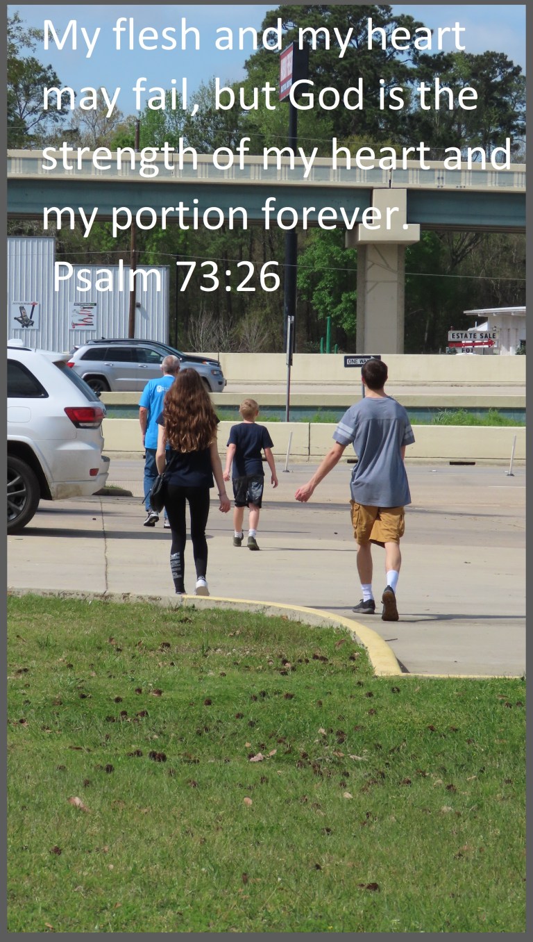 © Photo Artist Susan Ruth Robertson 090025006100 SX70HS 141 - Copy